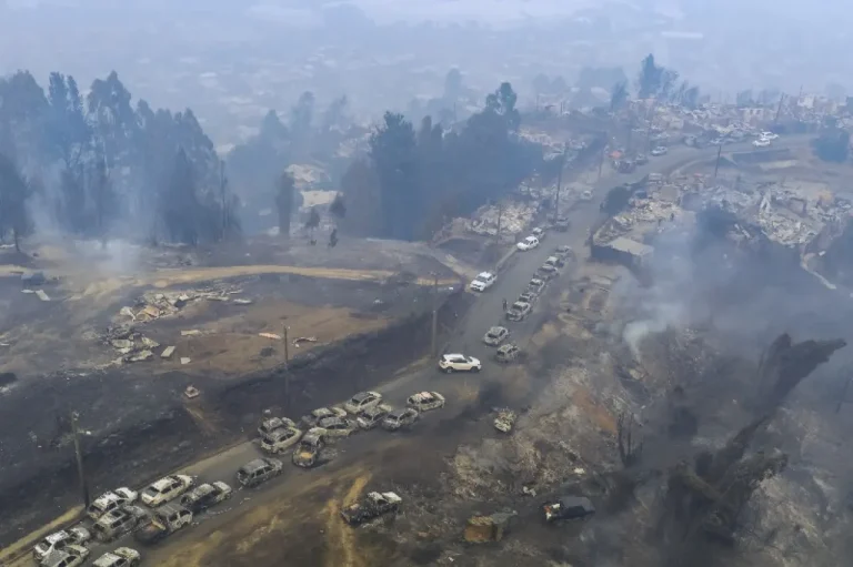 Incendios forestales en Chile queman más de mil hectáreas de bosque